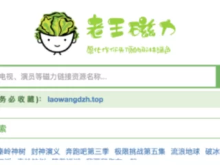 磁力链接搜索引擎，磁力搜索网站推荐不得不服