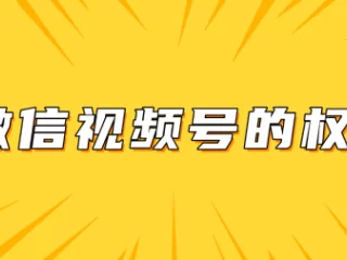 微信视频号的权重是什么意思？第三方的权重查询工具准不准确！